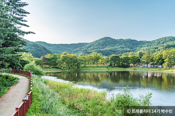 상당산성의 산책로 옆 수생식물 군락지 - ⓒ 트래블리더 14기 박수빈