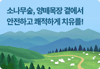 소나무숲, 양떼목장 곁에서 안전하고 쾌적하게 치유를!