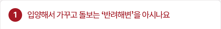 1. 입양해서 가꾸고 돌보는 ‘반려해변’을 아시나요