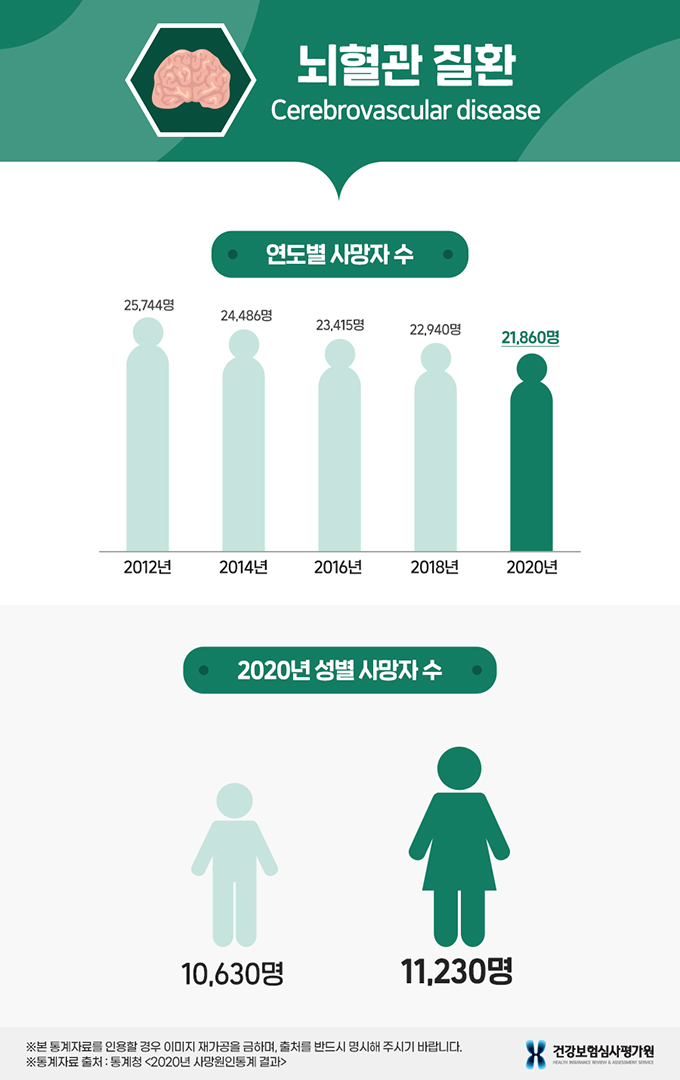 뇌졸중 2020년 통계 추이