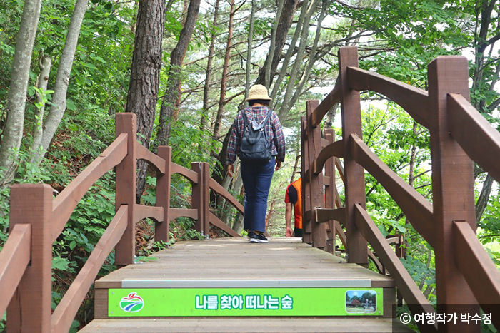 거창 항노화 힐링랜드 입구에서 편도 20분이면 도착하는 쉬운 등산 코스 - ⓒ 여행작가 박수정