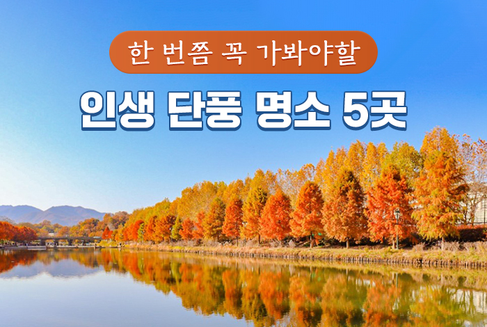 한 번쯤 꼭 가봐야할 인생 단풍 명소 5곳