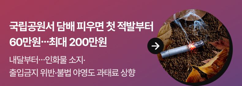 국립공원서 담배 피우면 첫 적발부터 60만원…최대 200만원 - 내달부터…인화물 소지·출입금지 위반·불법 야영도 과태료 상향