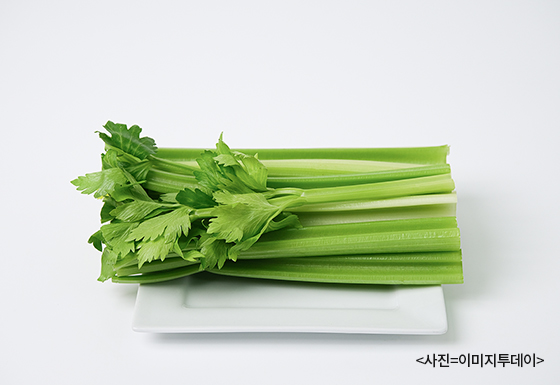 샐러리.