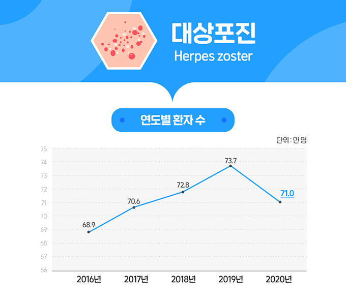 대상포진 통계 그래프1