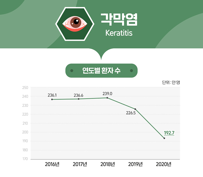 각막염 통계 그래프1