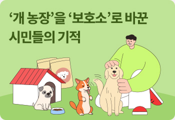 ‘개 농장’을 ‘보호소’로 바꾼 시민들의 기적