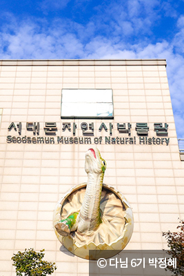 서대문자연사박물관 ⓒ 다님 6기 박정혜