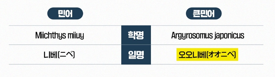 내가 산 민어가 민어가 아니라고? 내가 산 민어가 민어가 아니라고?