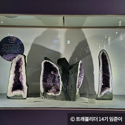 경주엑스포대공원 자연사박물관 ⓒ 트레블리더 14기 임준이