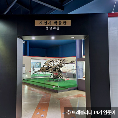 경주엑스포대공원 자연사박물관 ⓒ 트레블리더 14기 임준이