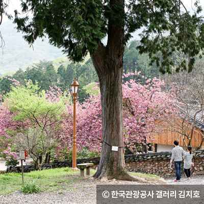 ⓒ 한국관광공사 갤러리 김지호