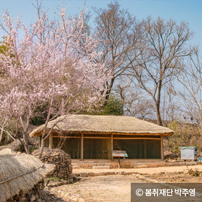 ⓒ 봄취재단 박주영