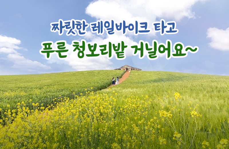 짜릿한 레일바이크 타고 푸른 청보리밭 거닐어요~