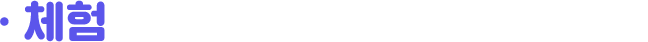 체험