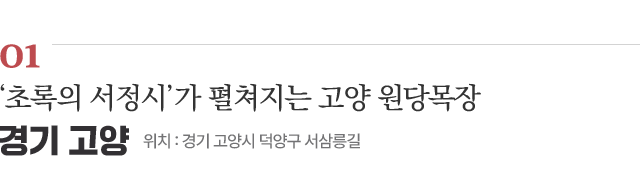 01 ‘초록의 서정시’가 펼쳐지는 고양 원당목장 / 위치 : 경기 고양시 덕양구 서삼릉길 / 자세히보기