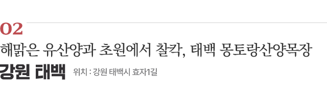 02 해맑은 유산양과 초원에서 찰칵, 태백 몽토랑산양목장 / 위치 : 강원 태백시 효자1길 / 자세히보기