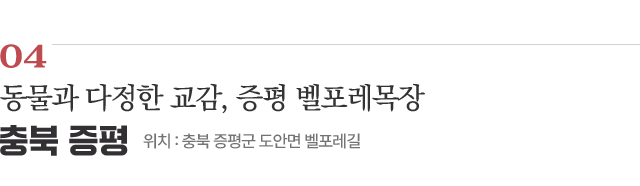 04 동물과 다정한 교감, 증평 벨포레목장 / 위치 : 충북 증평군 도안면 벨포레길 / 자세히보기