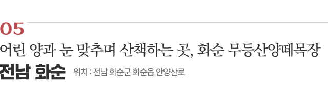 05 어린 양과 눈 맞추며 산책하는 곳, 화순 무등산양떼목장 / 위치 : 전남 화순군 화순읍 안양산로 / 자세히보기