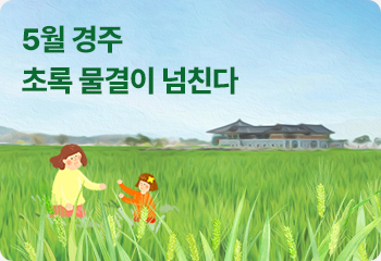5월 경주 초록 물결이 넘친다