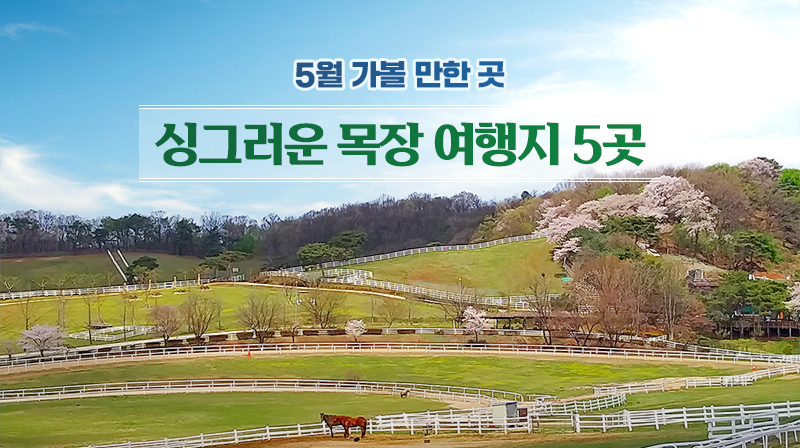 5월 가볼 만한 곳…싱그러운 목장 여행지 5곳