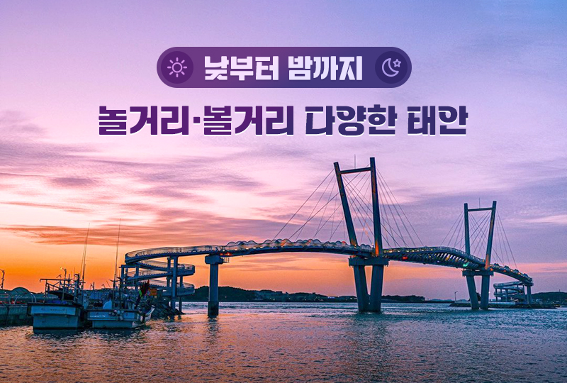 낮부터 밤까지 놀거리·볼거리 다양한 태안