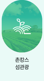 촌캉스 섬관광