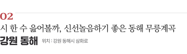 02 시 한 수 읊어볼까, 신선놀음하기 좋은 동해 무릉계곡 / 위치 : 강원 동해시 삼화로 / 자세히보기