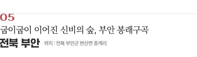 05 굽이굽이 이어진 신비의 숲, 부안 봉래구곡 / 위치 : 전북 부안군 변산면 중계리 / 자세히보기