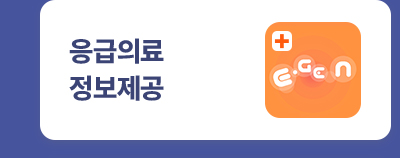 응급의료정보제공