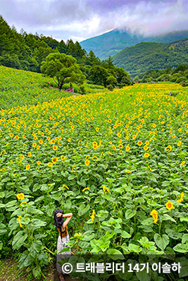 © 트레블리더 14기 이솔하