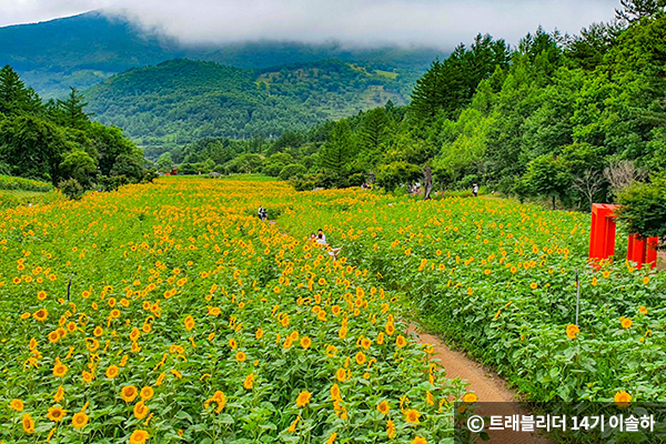 © 트레블리더 14기 이솔하