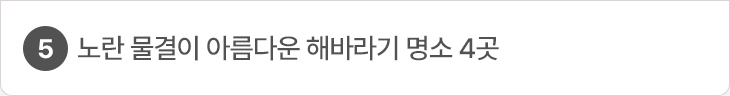 5. 노란 물결이 아름다운 해바라기 명소 4곳