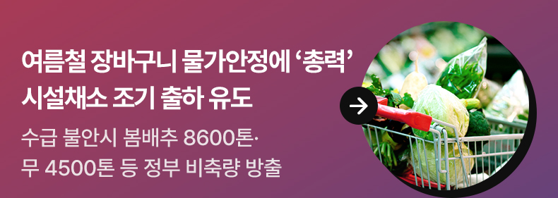 여름철 장바구니 물가안정에 ‘총력’…시설채소 조기 출하 유도 - 수급 불안시 봄배추 8600톤·무 4500톤 등 정부 비축량 방출