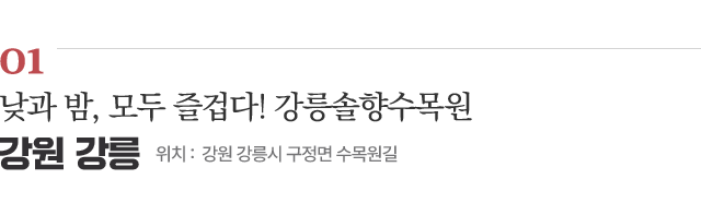 01 낮과 밤, 모두 즐겁다! 강릉솔향수목원 / 위치 : 강원 강릉시 구정면 수목원길 / 자세히보기