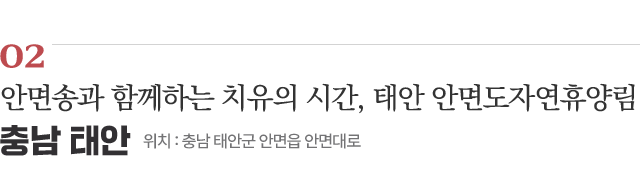 02 안면송과 함께하는 치유의 시간, 태안 안면도자연휴양림 / 위치 : 충남 태안군 안면읍 안면대로 / 자세히보기