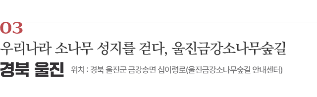 03 우리나라 소나무 성지를 걷다, 울진금강소나무숲길 / 위치 : 경북 울진군 금강송면 십이령로(울진금강소나무숲길 안내센터) / 자세히보기