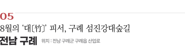 05 8월의 ‘대〔竹〕’ 피서, 구례 섬진강대숲길 / 위치 : 전남 구례군 구례읍 산업로 / 자세히보기