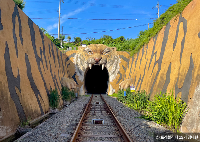 레일바이크 호랑이 터널 입구 사진 ⓒ 트레블리더 15기 김나현