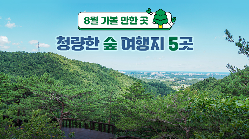 8월 가볼 만한 곳…청량한 숲 여행지 5곳