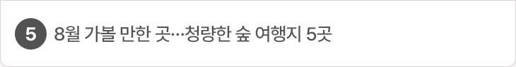 8월 가볼 만한 곳…청량한 숲 여행지 5곳