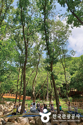 산림치유지도사의 주도 아래 산림 치유 프로그램 하고 있다ⓒ 한국관광공사