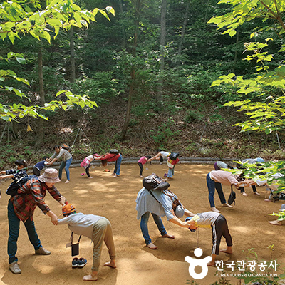 가족을 위한 상큼 달콤 숲 패밀리 ⓒ 한국관광공사