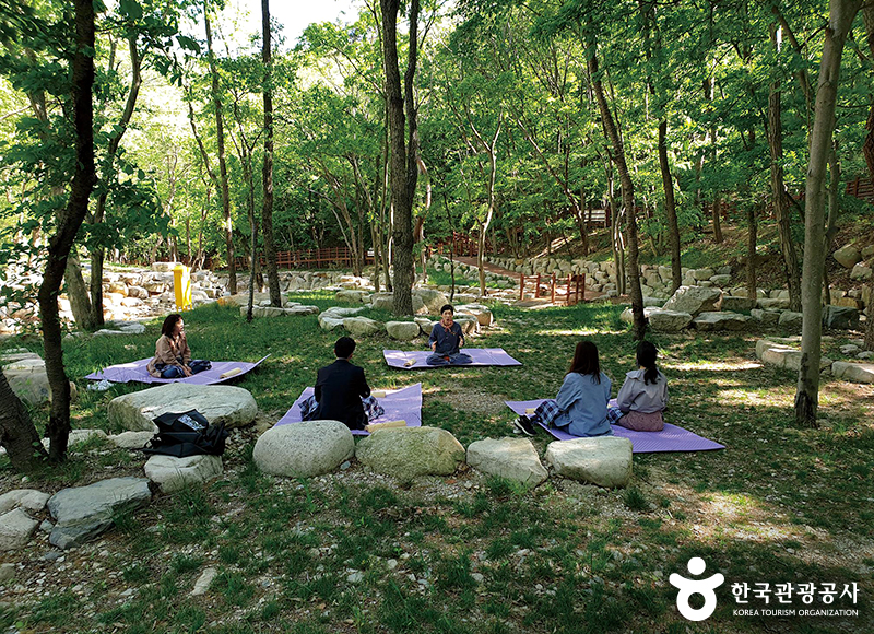 숲속에 앉아 다양한 동작들로 몸의 긴장을 풀며 명상을 진행 ⓒ 한국관광공사