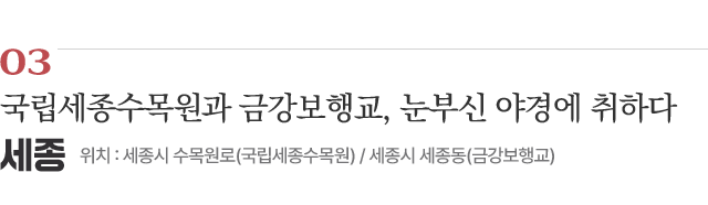 03 국립세종수목원과 금강보행교, 눈부신 야경에 취하다 / 위치 : 세종시 수목원로(국립세종수목원) / 세종시 세종동(금강보행교) / 자세히보기