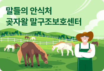 말들의 안식처 곶자왈 말구조보호센터