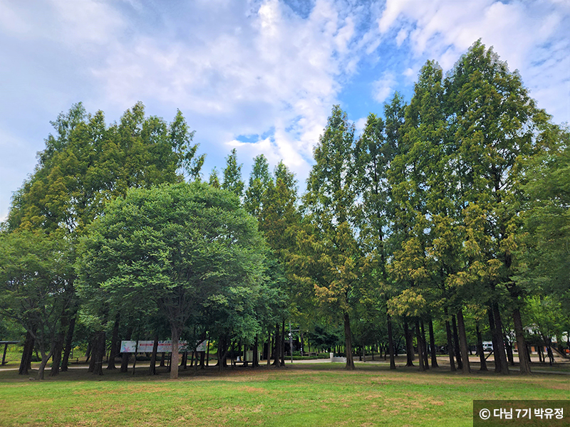 도심에서 보기 힘든 울창한 숲 ⓒ 다님 7기 박유정