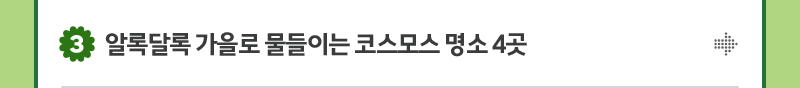 3. 알록달록 가을로 물들이는 코스모스 명소 4곳