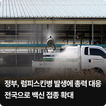 정부, 럼피스킨병 발생에 총력 대응…전국으로 백신 접종 확대