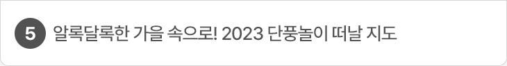 5. 알록달록한 가을 속으로! 2023 단풍놀이 떠날 지도